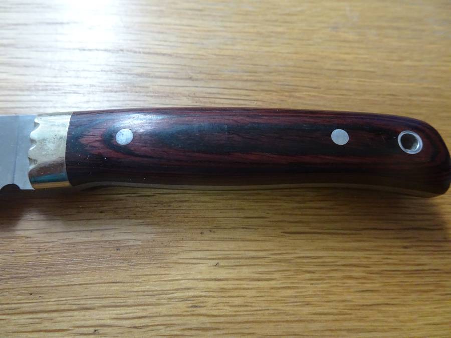 Stunning Muela Eagle Spain Made - Molibdeno Vanadio Hunting Knife In Original Leather Bag