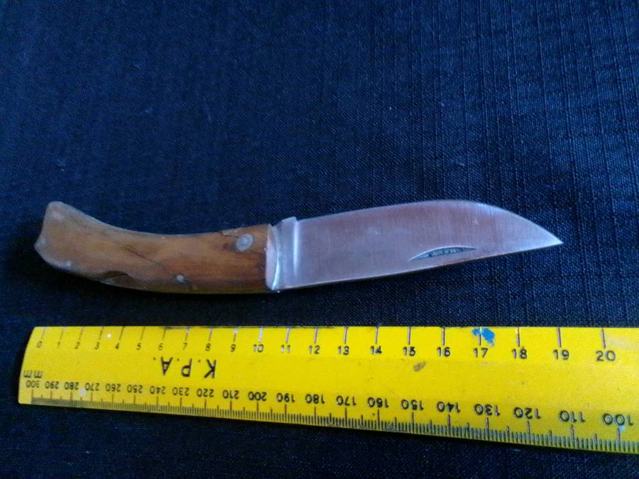 Beautiful Pocket Knife with Wooden Handle in Excellent Condition L: 190mm