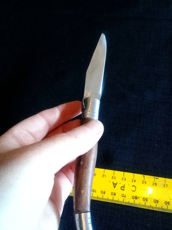 Stunning Pocket Knife with Wooden Handle in Excellent Condition L: 210mm