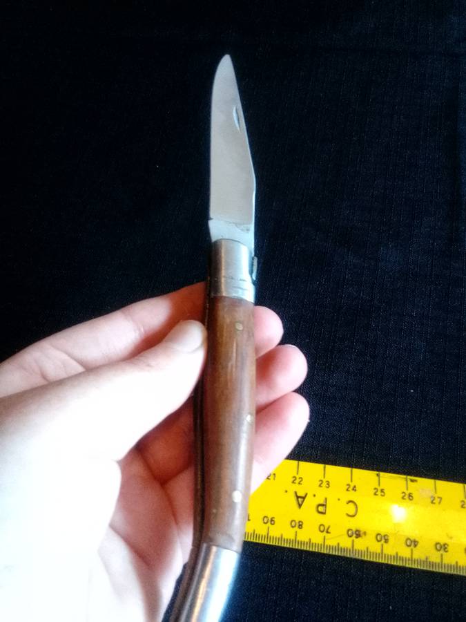 Stunning Pocket Knife with Wooden Handle in Excellent Condition L: 210mm