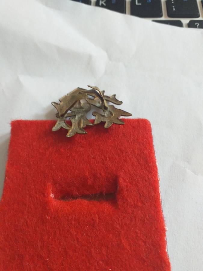 boer war ZAR police cap badge