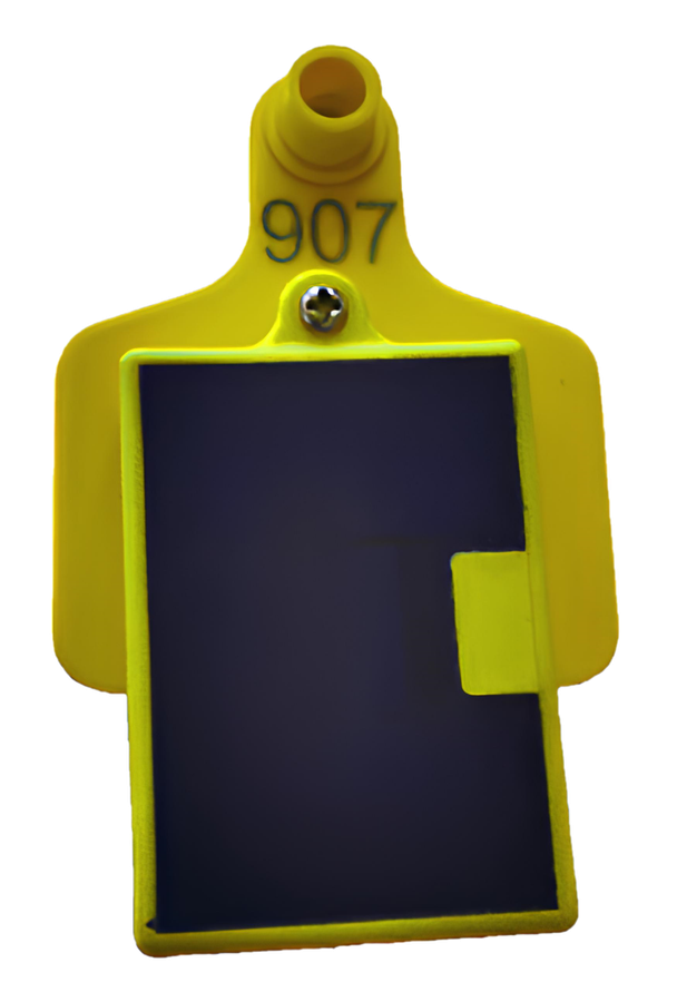 Livestock GPS eartag - Anti theft - GPS tracker - Solar powered