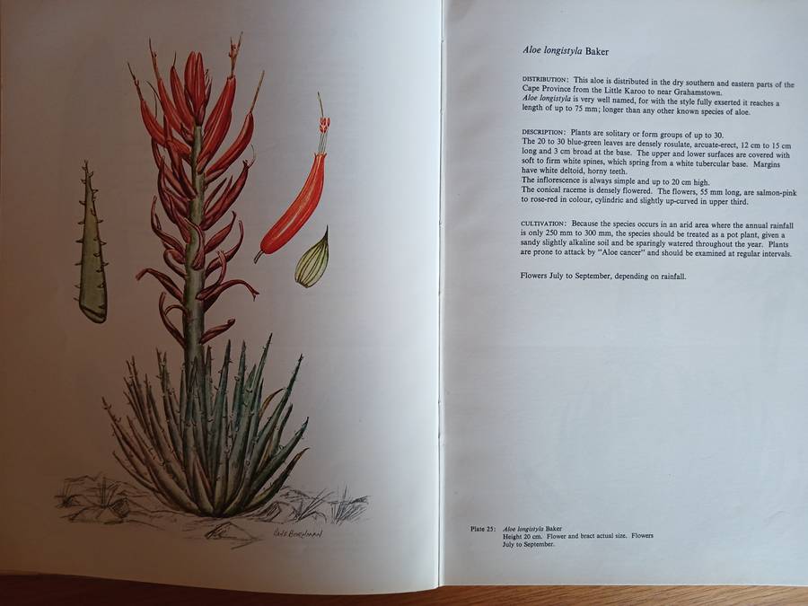 Aloes of the South African Veld
