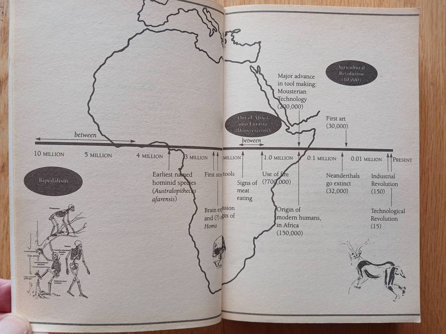 Origins reconsidered - In search of what makes us human