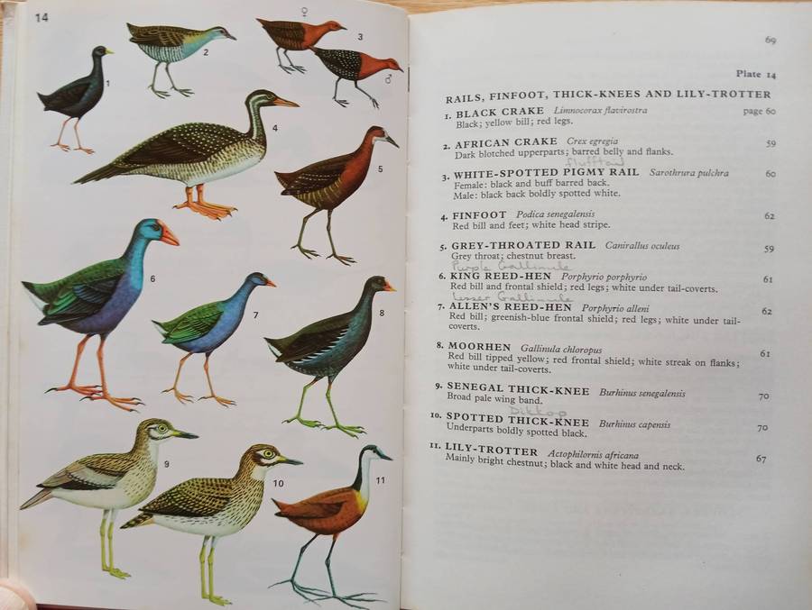 Collins Field Guide - Birds of West Africa