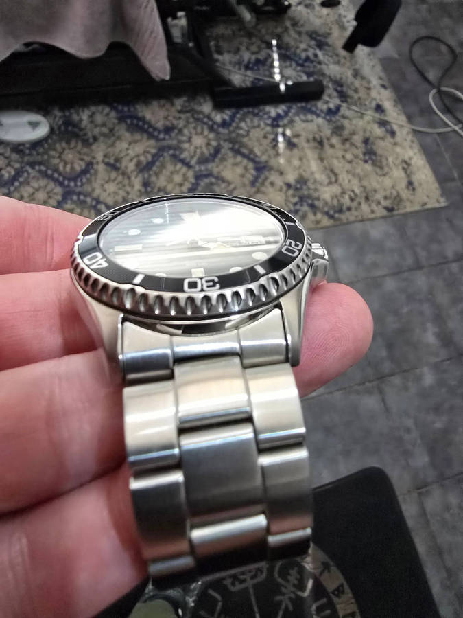 Orient Kamasu II