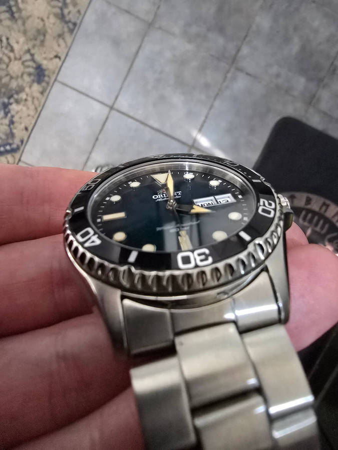 Orient Kamasu II