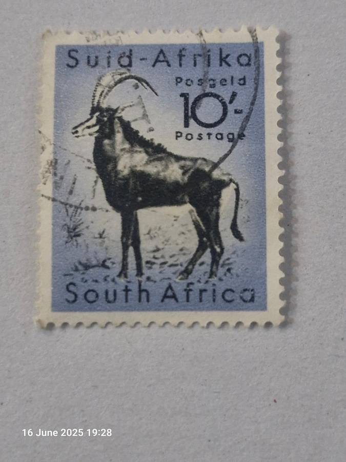 1954 South Africa 10 shilling stamp