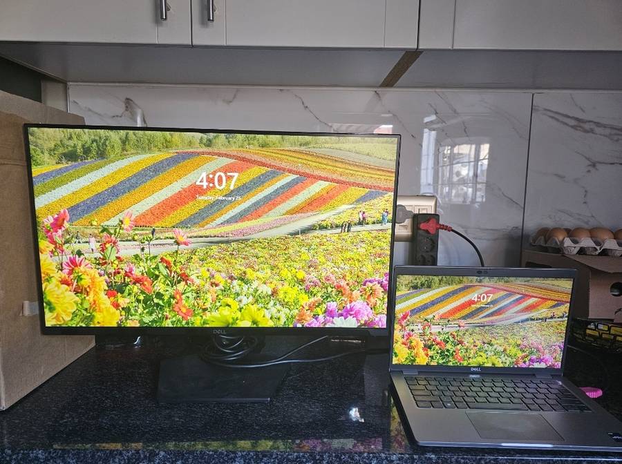 Dell SE2719HR 27" Full HD(1920x1080) 75Hz 4ms IPS AMD FreeSync Desktop Monitor