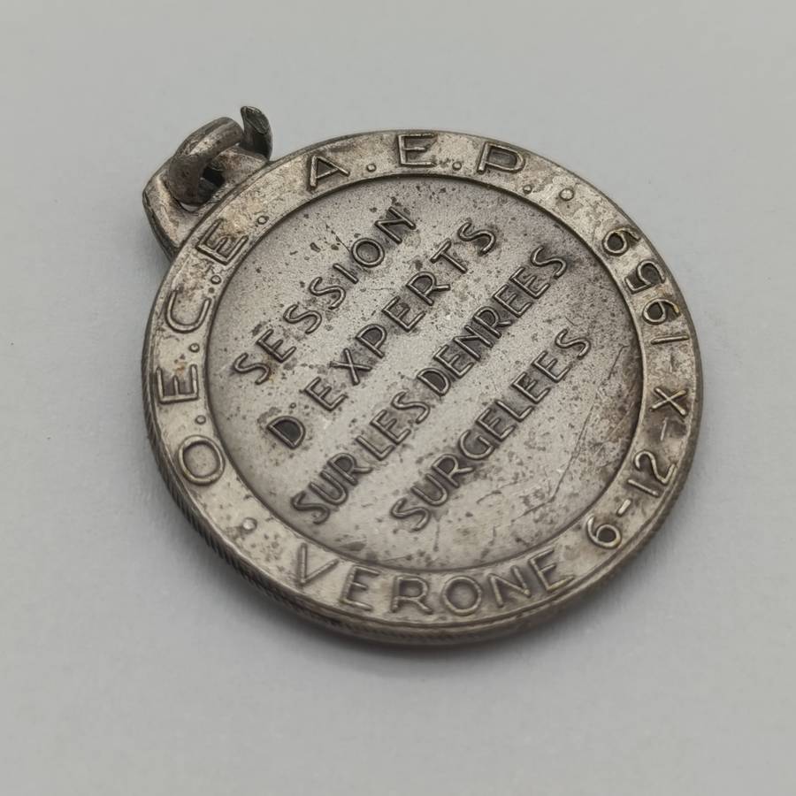 Frozen food convention medallion 1959 Verona