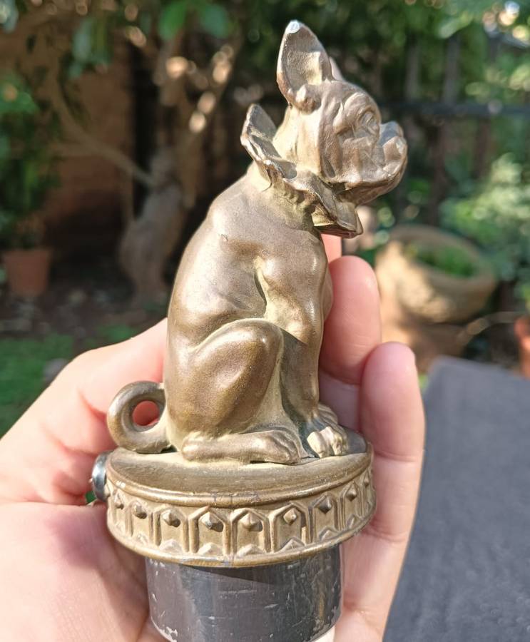 Vintage Brass French Bulldog Mascot Radiator Cap? Hood Ornament?