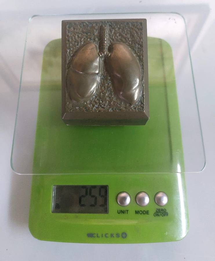 Five Medical Themed Paperweights: Lungs, Kidneys, Stomach, Femur, Hair