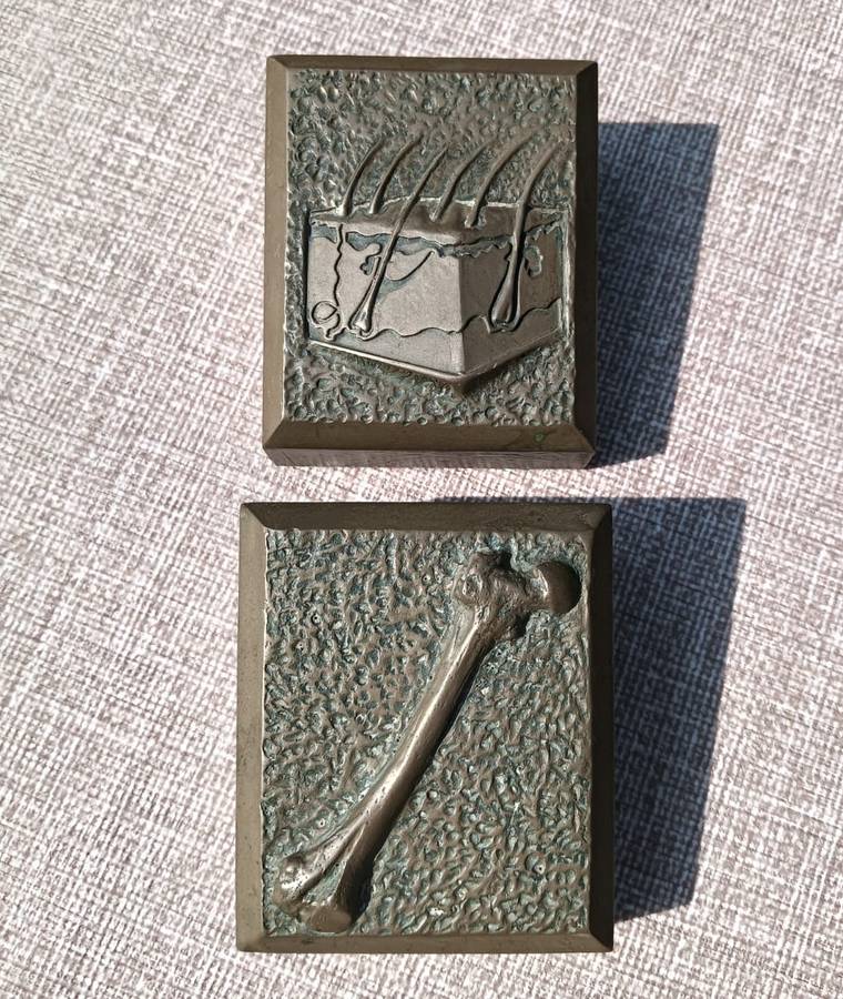 Five Medical Themed Paperweights: Lungs, Kidneys, Stomach, Femur, Hair