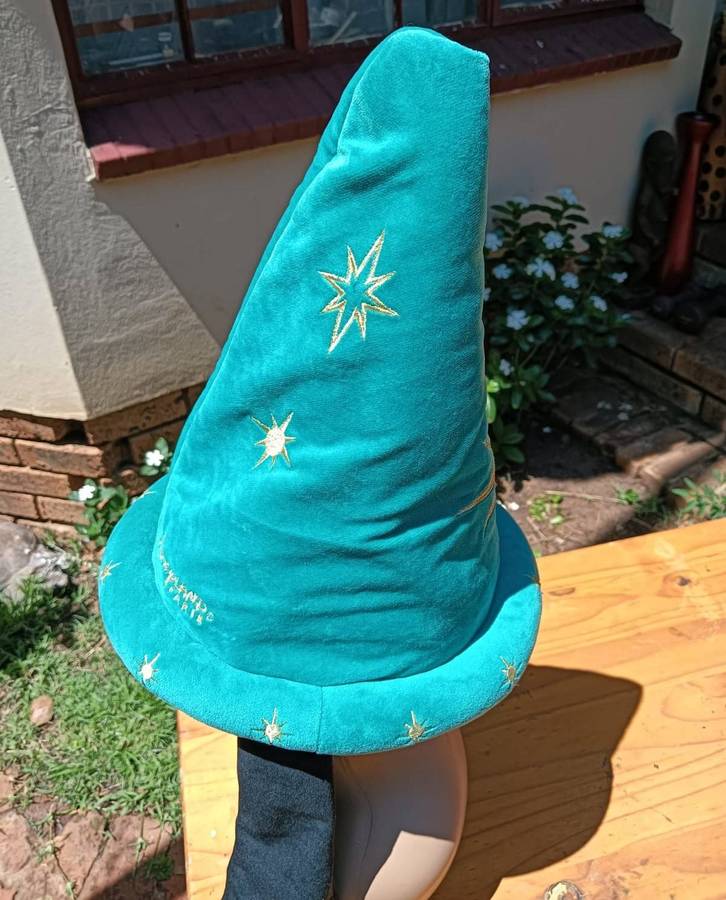 Goofy Goofy Wizard Hat Special 2012 Disneyland Paris 20th Anniversary  Adjustable Size