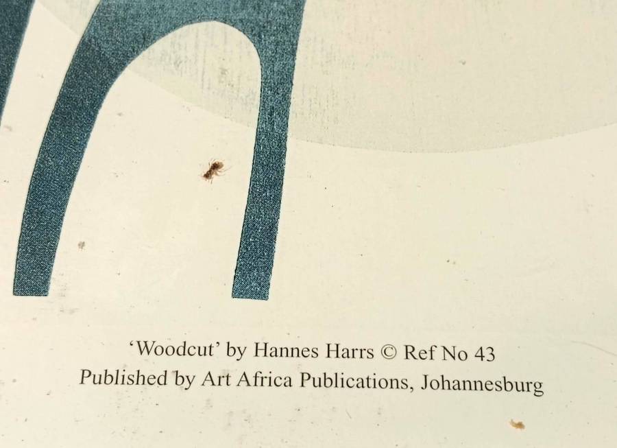 Hannes Harrs (1927-2006) Framed Colour Woodcut Print Abstract Giraffe Composition Signed Harrs 76