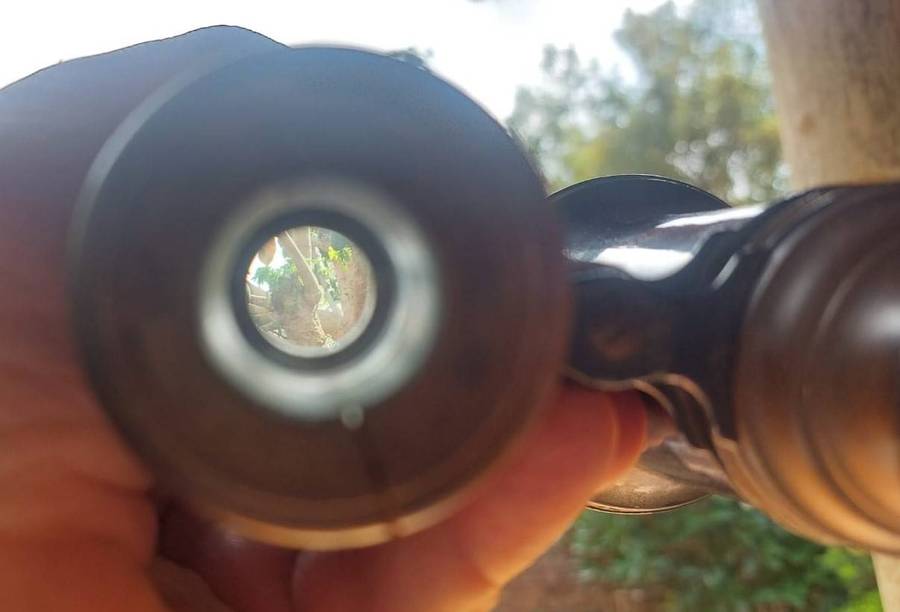 Antique (early 20th cen) Lemiere Palais Royal 6 Brass and Bakelite Binoculars Still Works See Photo