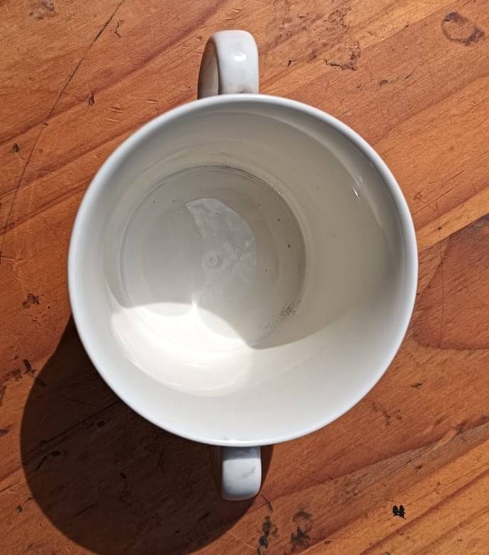 Rare Bunnykins Royal Doulton Two Handled Games Cup Cricket and Wheel Barrow Racing - Circa 1976-1987