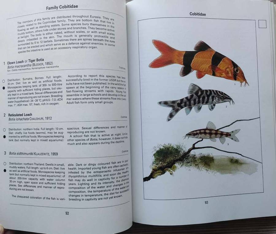 Aquarium Fish of the World