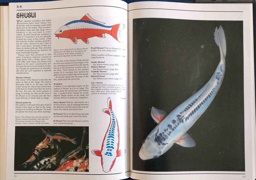 The Interpet Encyclopedia of Koi