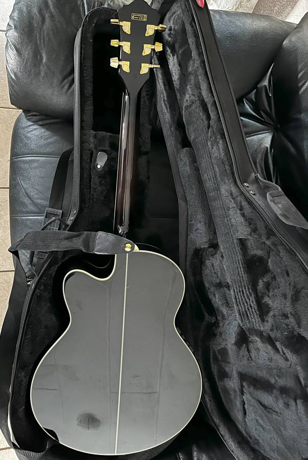 Ibanez Acoustic-Electric Guitar + Gator Hardcase  Excellent Condition ( AEL20E-TKS Guitar Model )