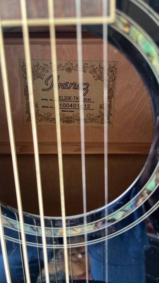 Ibanez Acoustic-Electric Guitar + Gator Hardcase  Excellent Condition ( AEL20E-TKS Guitar Model )