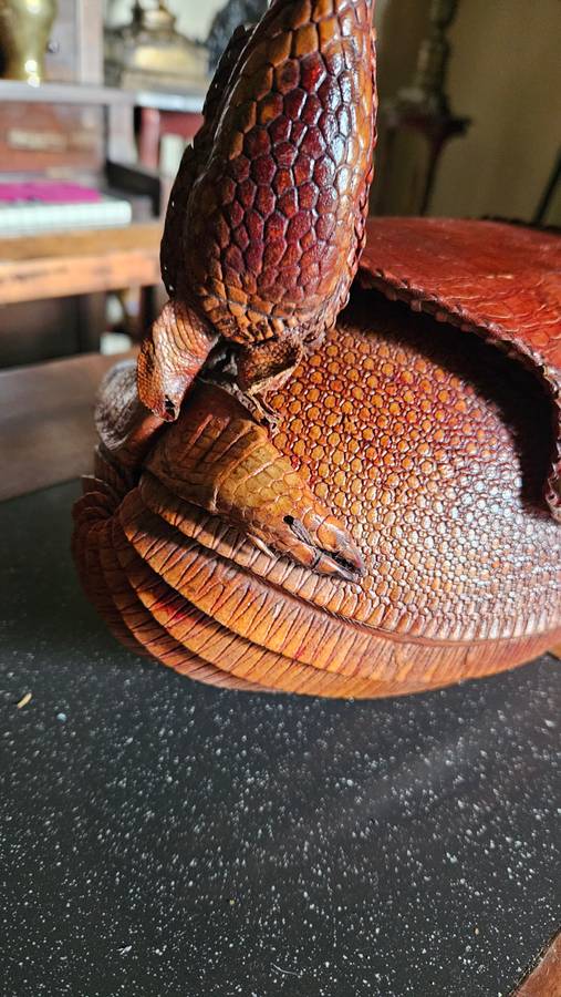 Vintage Armadillo Purse
