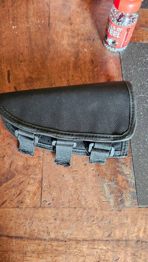 Sig Sauer SP 2022 Pistol & Holster