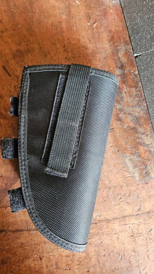 Sig Sauer SP 2022 Pistol & Holster