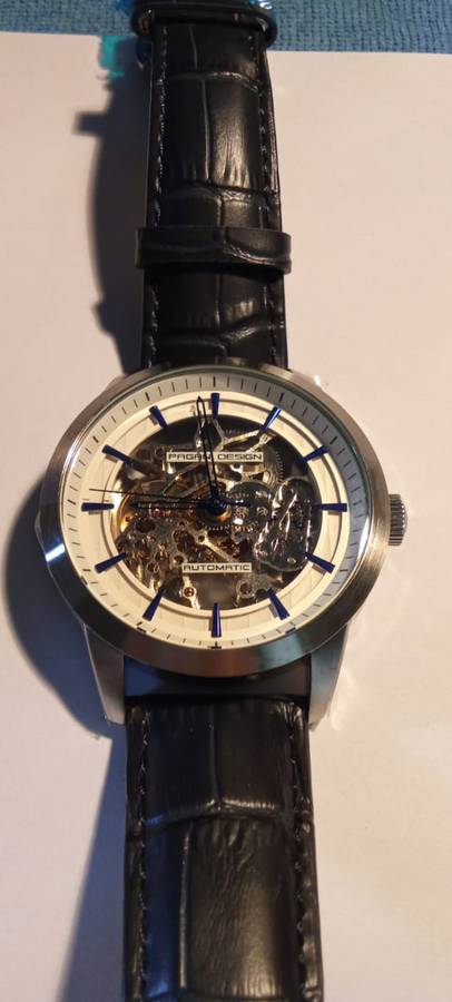 PAGANI DESIGN Brand Fashion Leather Gold Watch Men Automatic Mechanical Skeleton Waterproof Watch