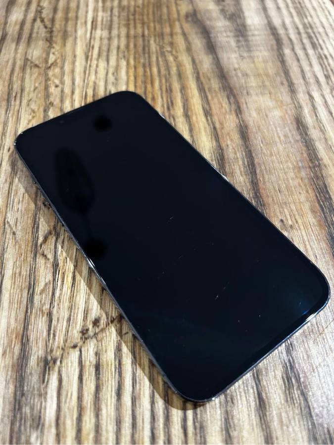 iPhone 13 Pro Max 256GB