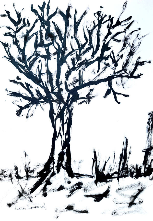 Hilton Edwards - tree series