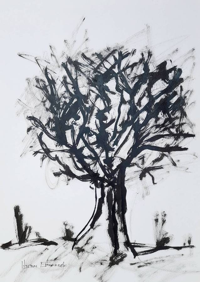 Hilton Edwards - baobab series