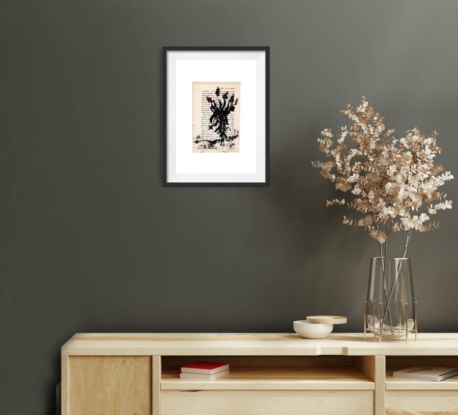 Hilton Edwards - aloe series