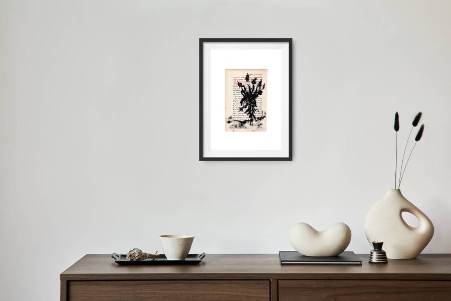 Hilton Edwards - aloe series