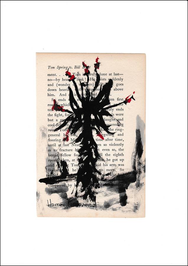 Hilton Edwards - aloe series