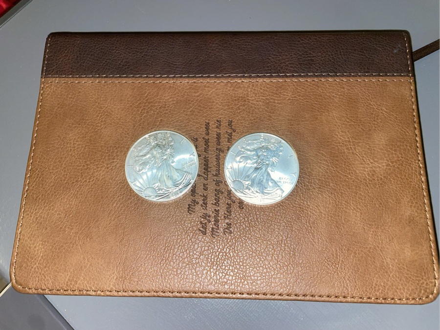 2015 Silver Dollar 1 Oz