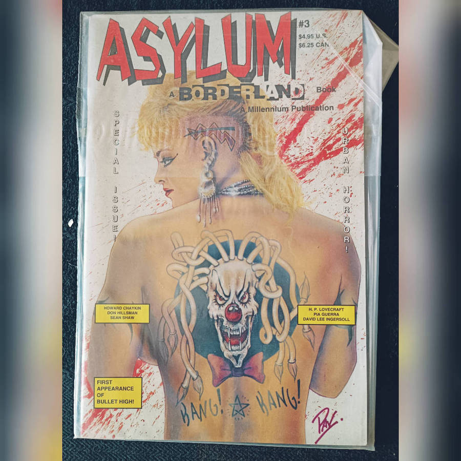 Asylum borderlands comic, rare indy horror collectors piece