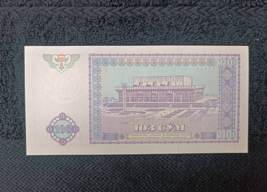 Banknote 100 sum Uzbekistan 1994.