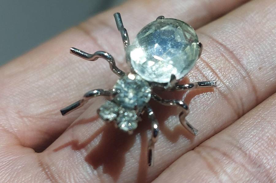 Vintage insect brooch never used