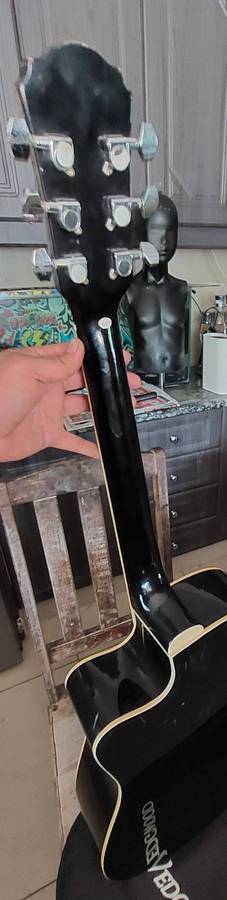 Oscar Schmidt Acoustic/Electric Guitar missing 1 string incl carry bag