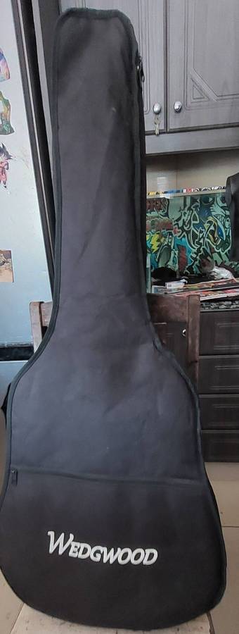 Oscar Schmidt Acoustic/Electric Guitar missing 1 string incl carry bag