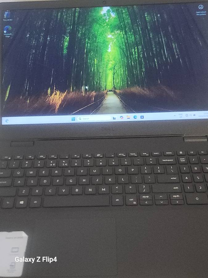 DELL VOSTRO CORE I3 11TH GEN 256NVME 8GIG RAM