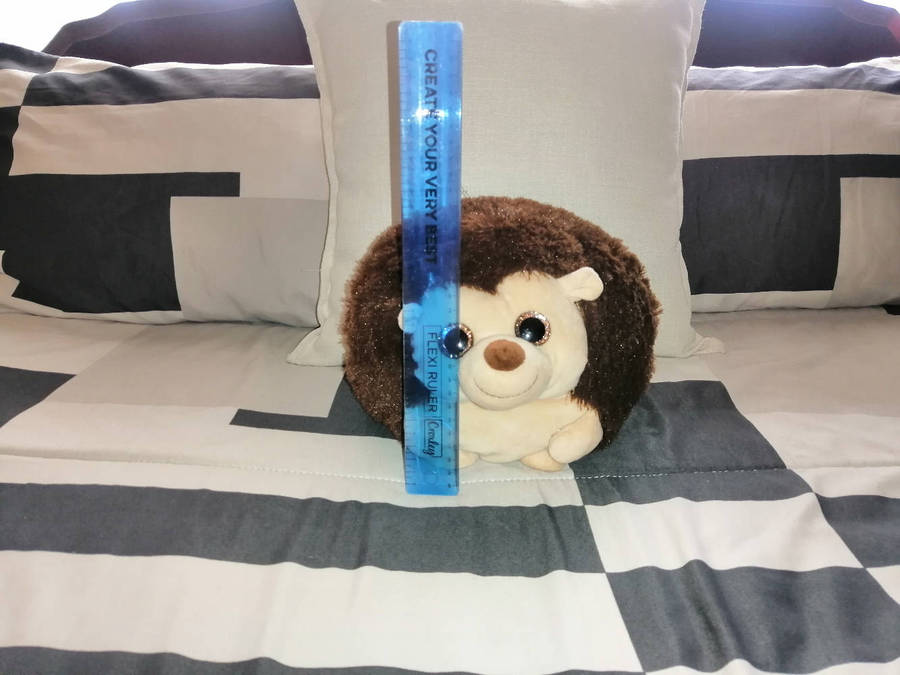 Hedgehog Plushie