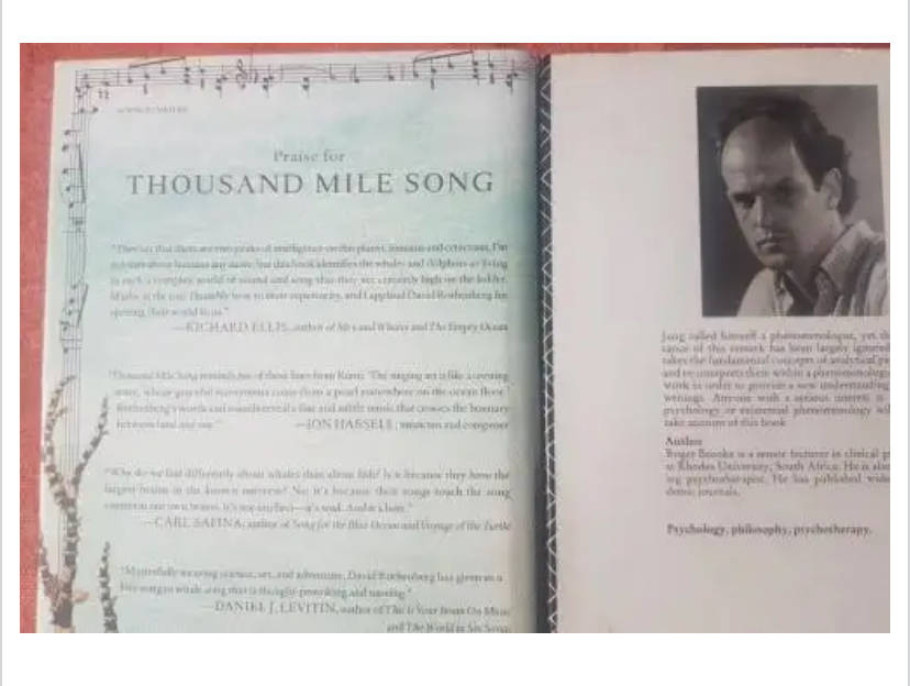 Thousand Mile Song