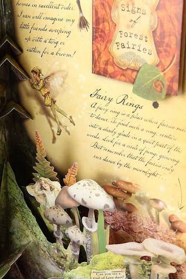 HOW TO FIND FLOWER FAIRIES