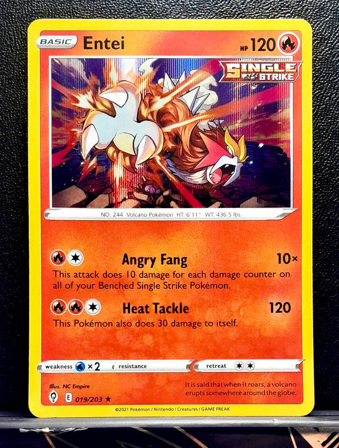 Pokemon Cards - Entei 019/203 - Holo Rare - Sword & Shield Evolving Skies NM