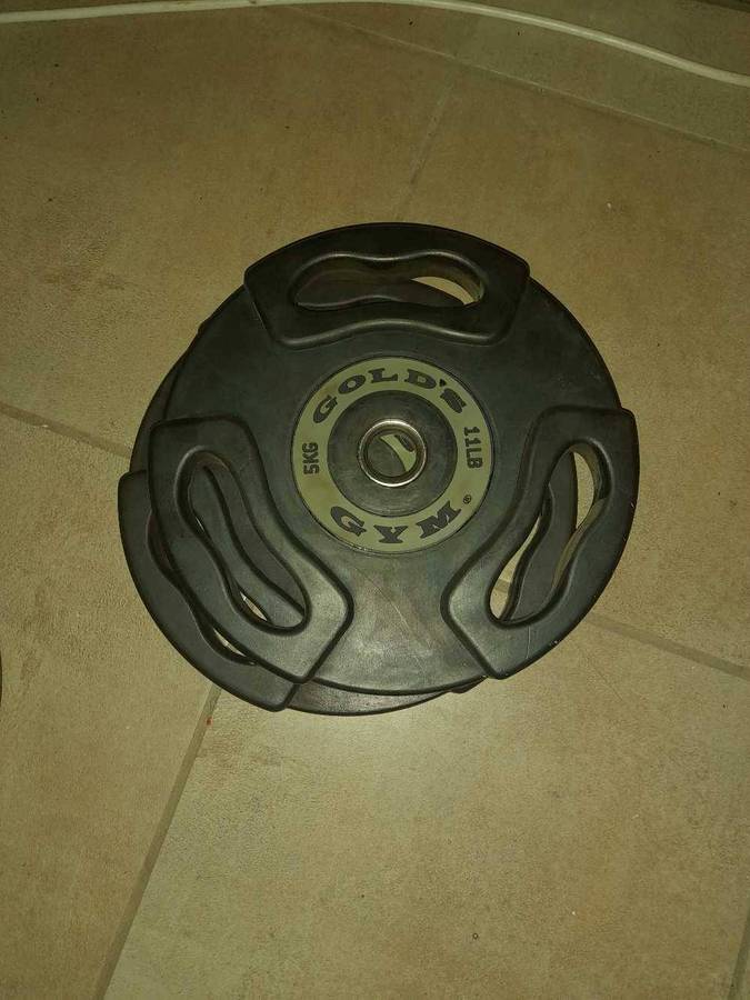 Gold's 5kg weight plates(x 2)