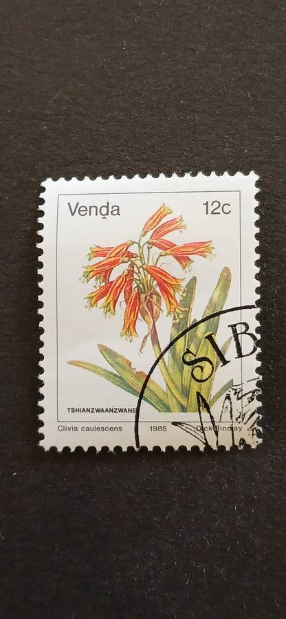 VENDA 1985 FLOWERS