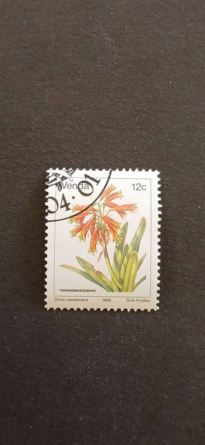 VENDA 1985 FLOWERS
