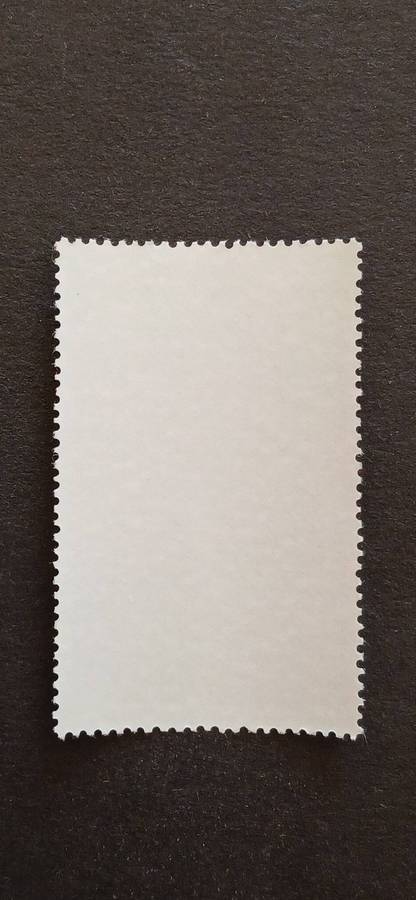 S.W.A 1979 WATER BIRDS